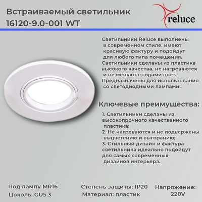 16120-9.0-001 WT светильник точ.