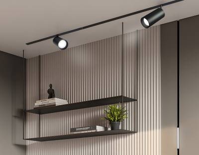 Светильник светодиодный диммируемый для шинопровода Magnetic 220V GL1232 BK черный IP20 24W 3000K-6400K 36° D65*140 (Без ПДУ)