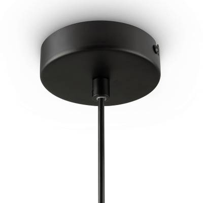 Подвесной светильник Tesse FR1011PL-01B1, E14х1. TM Maytoni