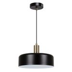 Подвесной светильник Arte Lamp SKAT A7052SP-1BK, 1хE27