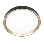 Citilux BOSS CL751351G LED RGB Светильник с пультом Чёрный с Золотом