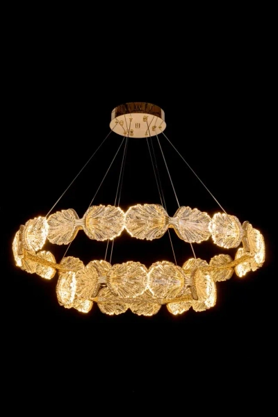 Люстра подвесная Pianta FL1170-10P, LED