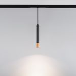 Светильник MAG-SPOT-HANG-25-R30-5W Day4000 (BK-GD, 45 deg, 24V) (Arlight, IP20 Металл, 5 лет)