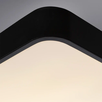 Потолочный светильник Arte Lamp SCENA A2663PL-1BK, 1хLED