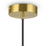 Подвесной светильник Eleon FR5218PL-01BS, E27х1. TM Maytoni