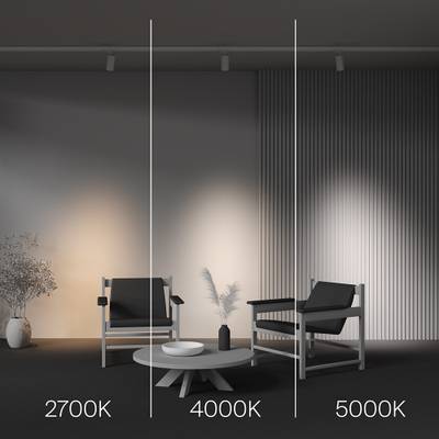 Трековый светильник Focus Led Trinity 2700-5000K 20Вт 36°, TR197-3-20WCCT-M-W. TM Maytoni