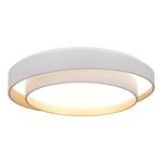 SLE6009-502-01 Светильник потолочный Белый/Белый LED 1*50W 3000K/4000K/6000K