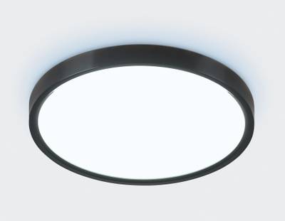 Потолочный светодиодный светильник FZ3050 BK черный IP44 24W+10W 6400+6400К D290*40 (Без ПДУ)