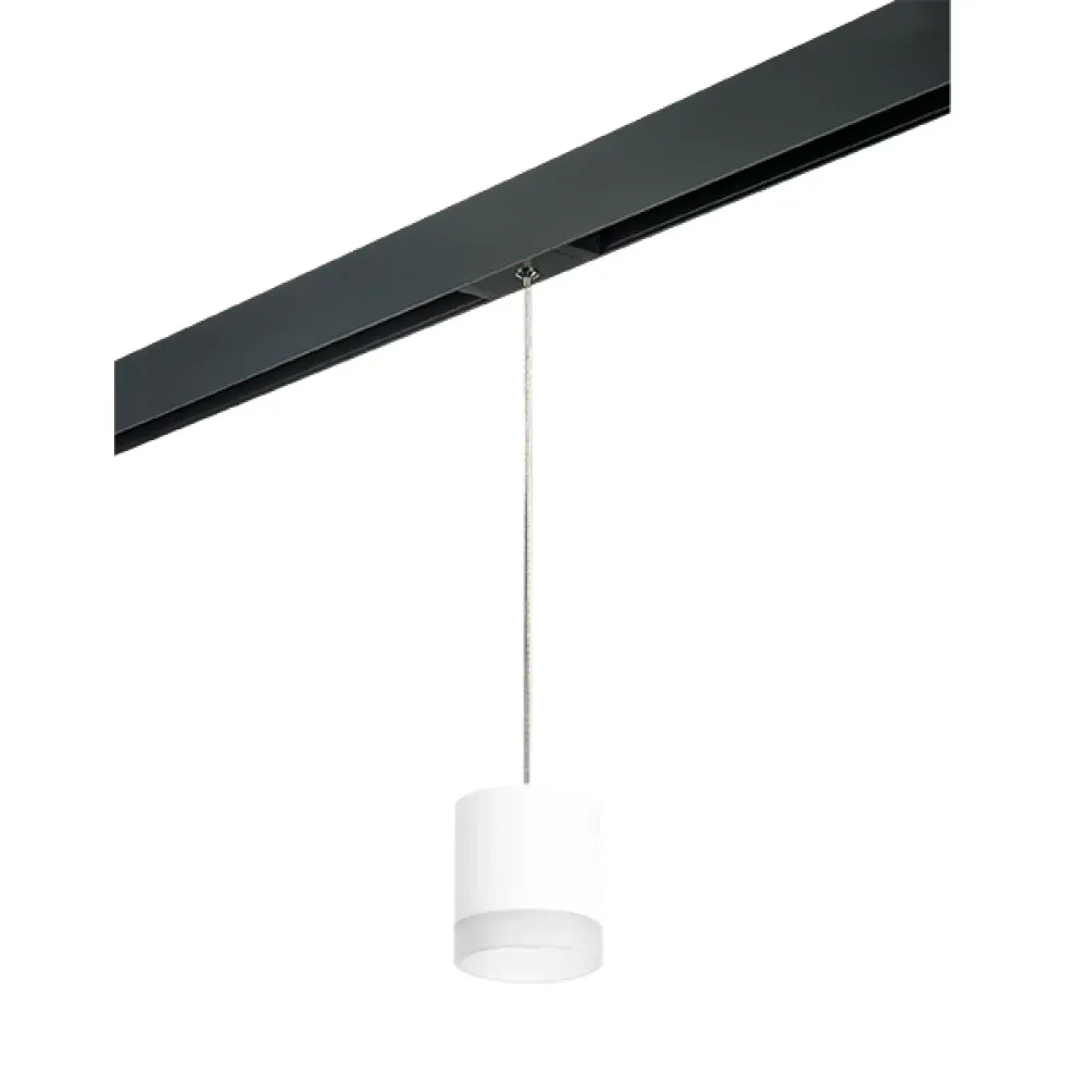 PRORP348680 Светильник д/1-фазн трека RULLO GX53 (213486+595887+202480) Lightstar