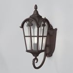 Уличный настенный светильник (бра) Альбион / Albion E27х1 60Вт IP44, O413WL-01BZ1. TM Maytoni