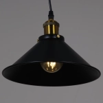 02189-0.9-03 BK светильник потолочный Reluce, E27х3
