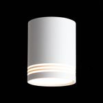 ST101.502.12 Светильник потолочный Белый LED 1*12W 3000K 936Lm 120° IP20 D79xH100 170-240V