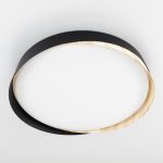 Citilux BONNY CL754351G LED RGB Светильник с пультом Черный+Клён