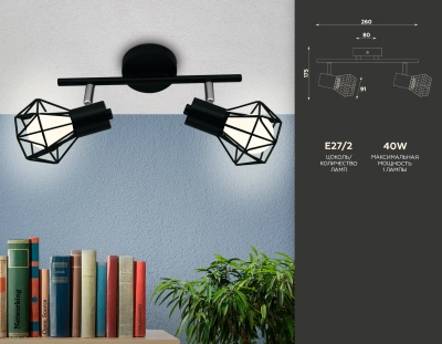 Настенно-потолочный спот в стиле лофт TR8621/2 BK/CH черный/хром E27*2 max 40W 260*91*175