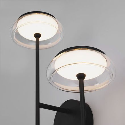 Настенный светодиодный светильник со стеклянными плафонами 50388/2 LED черный