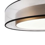 Потолочный светильник Zoticus FR6005CL-L48G, LED. TM Maytoni