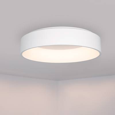 Светильник SP-TOR-RING-SURFACE-R600-42W Day4000 (WH, 120 deg) (Arlight, IP20 Металл, 3 года)