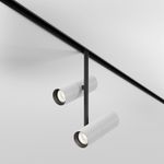 Трековый светильник Elti Duo Exility 2700-6000K 24Вт 36° Dim Smart, TR005-4-2X12W-DS-BW. TM Maytoni