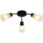 01348-0.3-03 BK+CR светильник потолочный