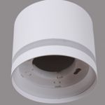 29560-0.3-2+2 WH+WOOD светильник потолочный