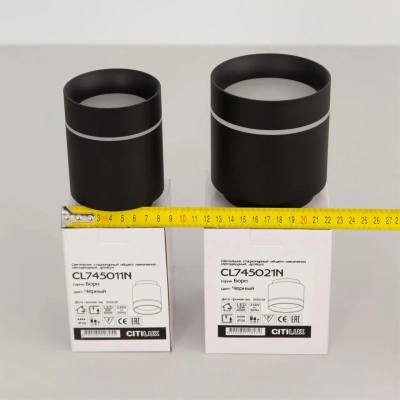 Citilux Борн CL745021N LED Светильник накладной Чёрный