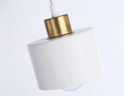 Подвесной светильник в стиле лофт TR8112 WH/BS белый/латунь E27 max 40W D120*940