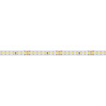 Лента RT 2-5000 24V Day4000 2x (2835, 160 LED/m, LUX) (Arlight, 12 Вт/м, IP20)