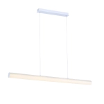 SL439.503.01 Светильник подвесной ST-Luce Белый/Белый LED 1*24W 4000K
