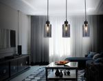 Подвесной светильник в стиле лофт TR3698/3 BK/SM черный/дымчатый E27*3 max 40W 560*100*1040