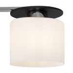 Потолочный светильник Bice FR5101-CL-04-CN, E14х4. TM Maytoni
