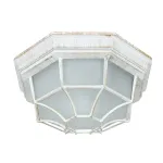 Уличный потолочный светильник Arte Lamp PEGASUS A3121PF-1WG, 1хE27