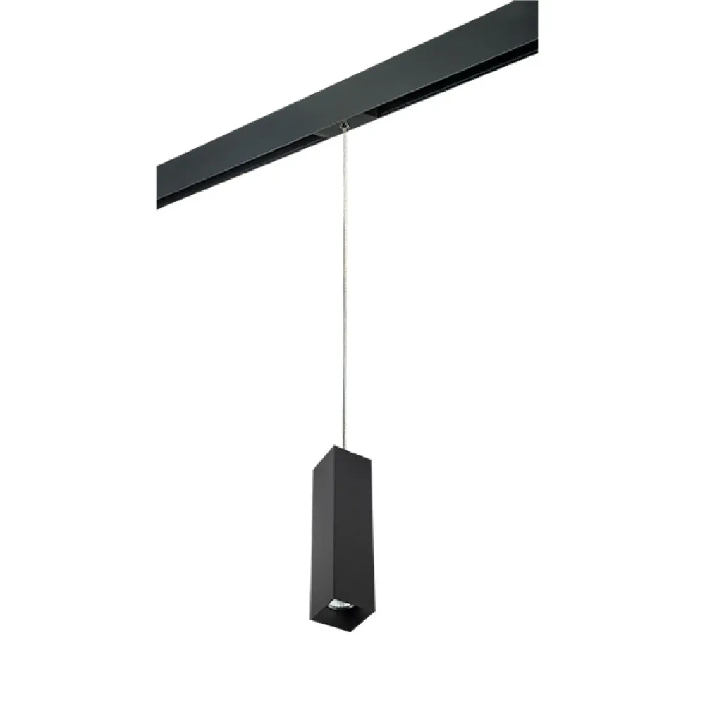 PRORP6397 Светильник д/1-фазн трека RULLO HP16 (216397+595957) Lightstar