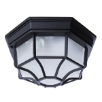 Уличный потолочный светильник Arte Lamp PEGASUS A3100PL-1BK, 1хE27