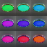 Citilux ENZO CL753452G LED RGB Светильник с пультом Клён
