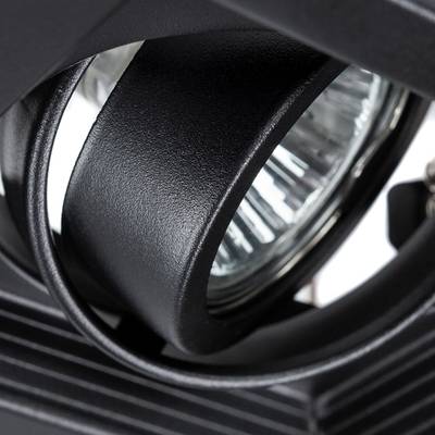 Точечный встраиваемый светильник Arte Lamp CANIS A6661PL-1BK, 1хGU10