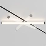 Трековый светильник LARC Exility 4000K 25Вт 360°, TR086-2-25W4K-B. TM Maytoni