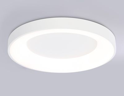 Потолочный светодиодный светильник FZ1401 WH белый IP20 48W 3000K-6500K D500*50 (ПДУ ИК)