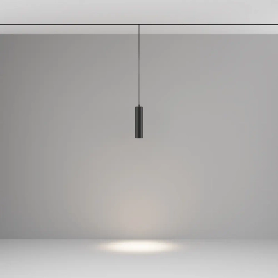 Трековый подвесной светильник Фокус / Focus Led Exility 4000K 12Вт 36°, TR041-2-12W4K-B. TM Maytoni