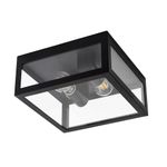 Уличный потолочный светильник Arte Lamp BELFAST A4569PF-2BK, 2хE27