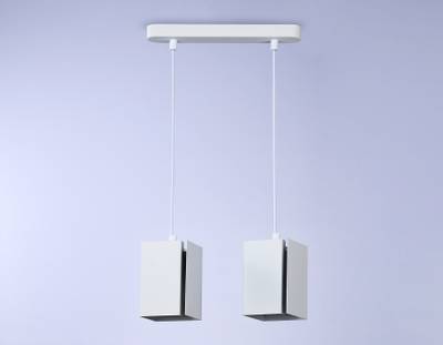 Светильник подвесной TN5131/2 WH белый E27/2 max 40W 260*80*1150