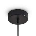 Подвесной светильник FR5541PL-L5B, FR5541PL-L5B. TM Maytoni