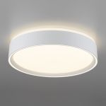 Citilux BOSS CL751250G LED RGB Светильник с пультом Белый