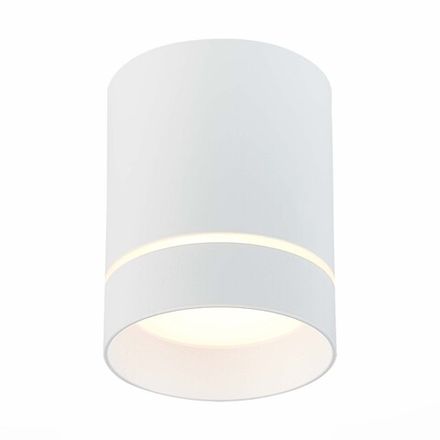 ST115.532.12 Светильник потолочный Белый LED 1*12W 3000K 840Lm Ra&gt;90 120° IP20 D79xH100 170-240V
