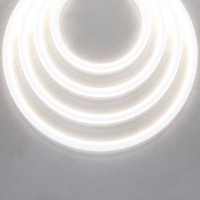 Гибкий неон D22 24В 16Вт/м 4000K IP67 5м, 200891. TM Maytoni