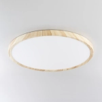 Citilux БейсикCL738322V LED Светильник накладной Клён