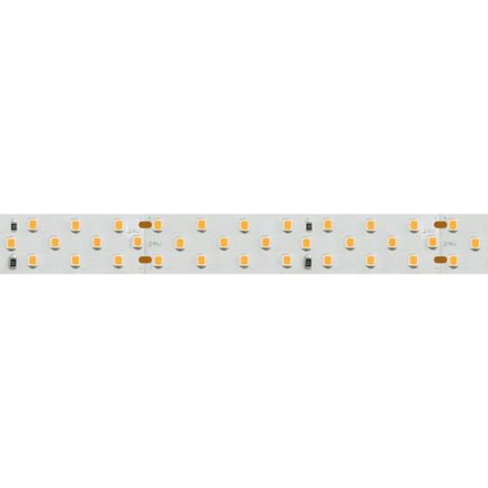 Светодиодная лента RT-A252-19mm 24V Warm3000 (27 W/m, IP20, 2835, 5m) (Arlight, Открытый)