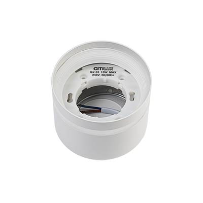 Citilux Hardy CL002C10 Светильник накладной Белый