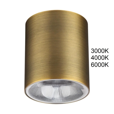 7137/12CL HIGHTECH ODL26 325 светильник бронза/металл IP20 LED 12W 840Лм 3000K/4000K/6000K 36° 220-240V BRIM