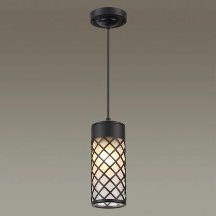 4834/1 NATURE ODL21 742 черный/стекло Ландшафтный светильник-подвес E27 1*60W IP44 DUNES
