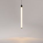 Подвесной светильник Ray P021PL-L10B. ТМ Maytoni